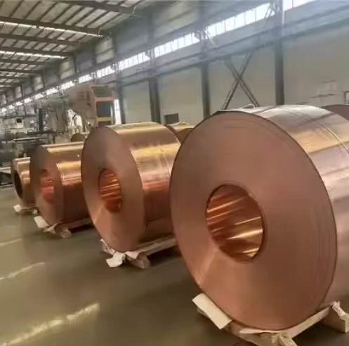 product-497-492 product-497-492